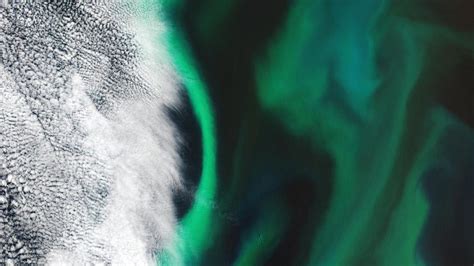 Nasa Satellite Captures Stunning Mid Atlantic Phytoplankton Bloom