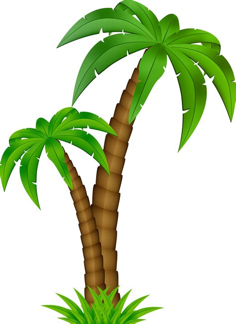 Palm Tree Cartoon Png Clipart Full Size Clipart 971201 Pinclipart