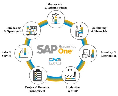 Sap Business One Los Angeles Erp Providers Sap B1 Consultants Dng