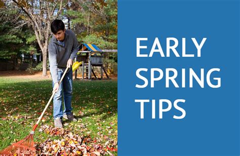 Early Spring Lawn Tips American Landscape And Lawn Science North