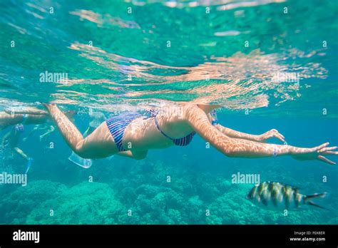 Woman In Bikini Snorkeling In The Sea On A Tropical Coral Reef Stock Photo Alamy