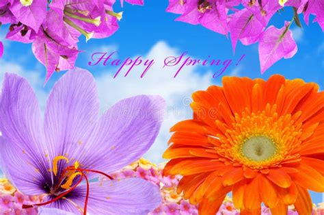 Happy Spring Stock Image Image Of Flora Card Concept 29037507