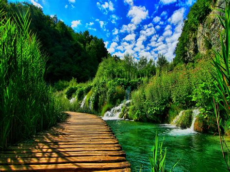 Green Nature Background Images Hd P Free Download Goimages Inc