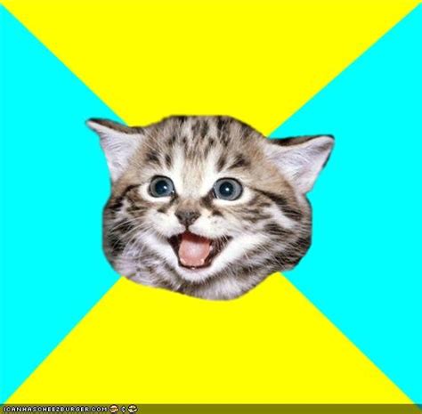 Happy Kitten Know Your Meme