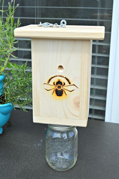 How To Trap And Kill Carpenter Bees And Wasps Too Mom 4 Real