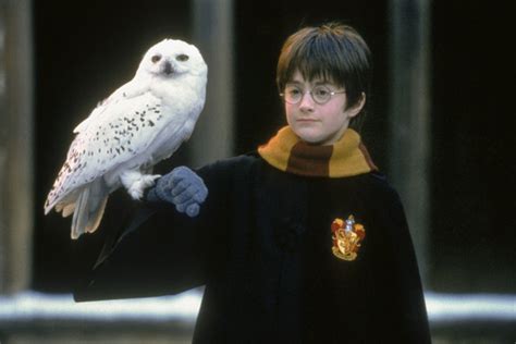 ‘harry Potter Is Turning 20 Years Old Wsj
