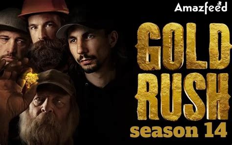 gold rush season 14 renewed or cancelled gold rush season 14 release date cast plot and more