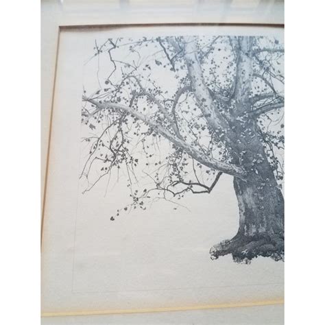 Vintage Andrew Wyeth Sycamore Tree Framed Print 155x195 Chairish