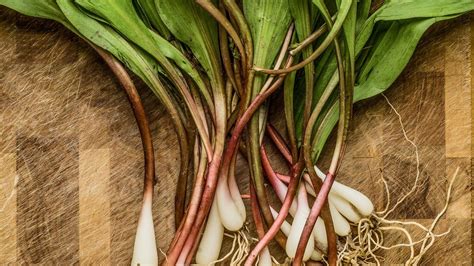 What Are Ramps How Do You Cook Them Artofit