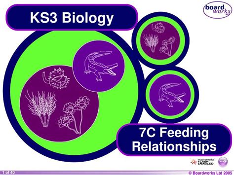 10000+ results for 'ks3 plant and animal cell'. PPT - KS3 Biology PowerPoint Presentation, free download ...