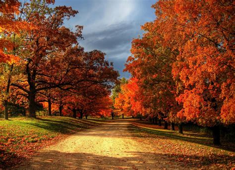 The Real Reasons Why Fall/Winter Has Two Different Names