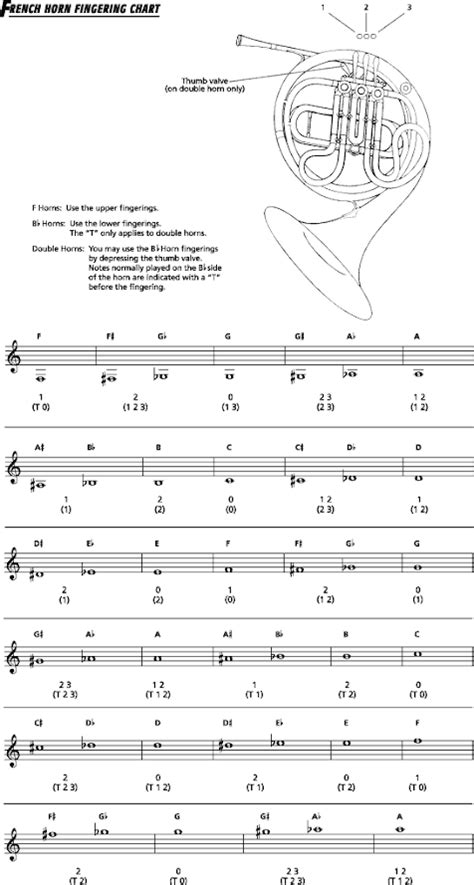 French Horn Fingering Chart Double Horn