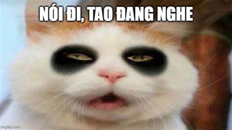 Meme buồn ngủ tổng hợp ảnh mèo gấu trúc ríu hết cả mắt