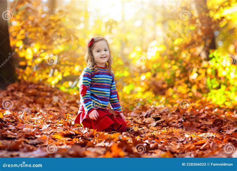Child In Fall Park Kid With Autumn Leaves Stock Image Image Of