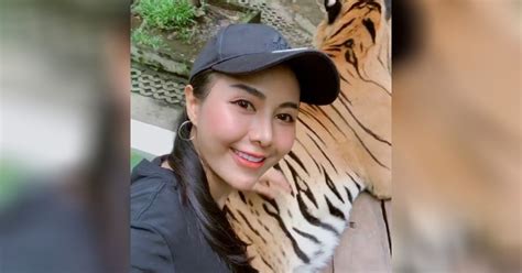 Tourist Criticized For Grabbing Tigers Testicles In Selfie Video