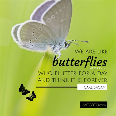 We Are Like Butterflies Carl Sagan Quote Words Can Do