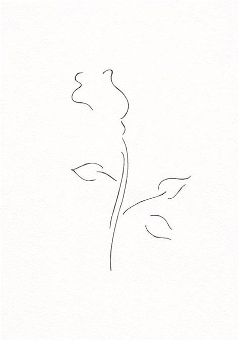 Get inspired with our handpicked collection of flower pictures hd to 4k quality available for commercial use download now for free! Minimalist rose drawing. Original line art. Black and by ...