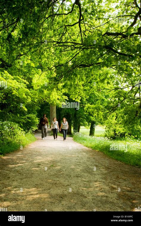 Three People Walking Along A Tree Lined Path In Summer At Coate Water