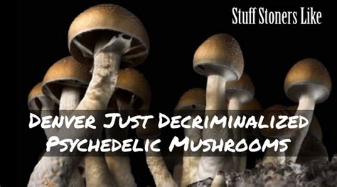 Denver Just Decriminalized Psychedelic Mushrooms