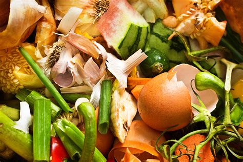 Food Scrap Recycling Landscape Assessment Guide | NRDC