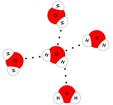 A Diagram Of A Water Molecule Molecule Diagram Water Molecule Molecules