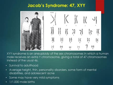 Human Chromosomes And Karyotyping Ppt Download