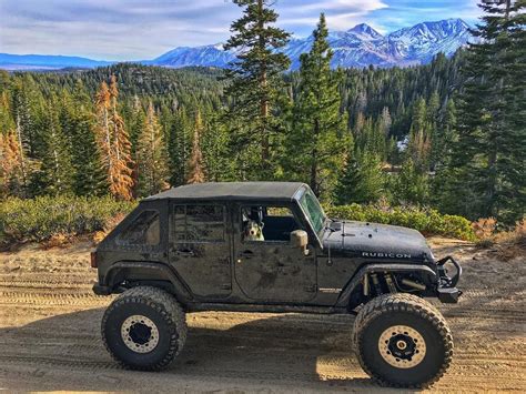A Black Jeep Driving Down A Dirt Road Next To Pine Trees And Mountain