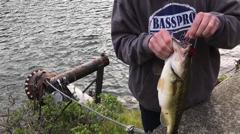 Let's face it, there's a lot we can learn and share from one another like what bait or lure is generating the best results. Kent Lake Spring Bass Fishing - YouTube