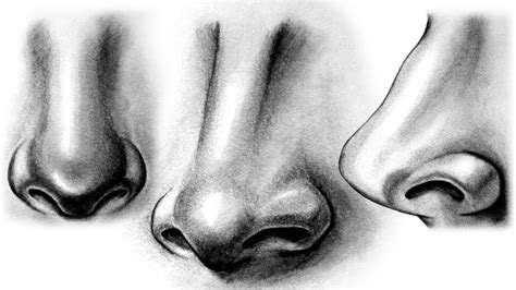 How To Draw A Nose Realistic Nose Side View Nose Step By Step