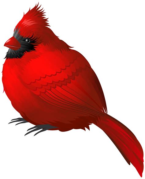 Cardinal Bird Clipart Free 10 Free Cliparts Download Images On