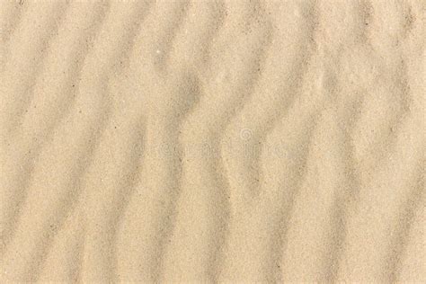 Sand Texture Sandy Beach For Background Top View Natural Sand Stone