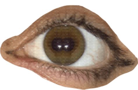 Eyes Eyes Weirdcore Dreamcore Free Png Picmix
