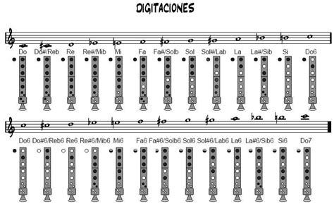 Música En El Cole Posiciones De La Flauta Digitaciónconsejos De Estudio