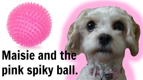 Maisie And The Pink Spiky Ball Youtube