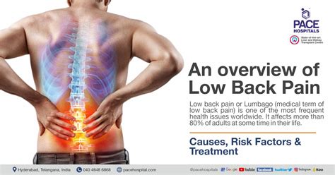 An Overview Of Low Back Pain Causes Risk Factors And Treatment