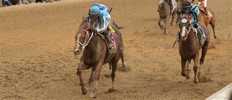 Mage Likely To Run At The Preakness After Surprise Kentucky Derby Win