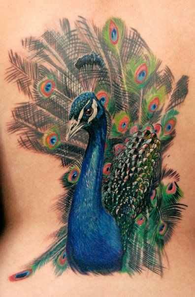 Realistic Peacock Tattoo Design Of Tattoosdesign Of Tattoos