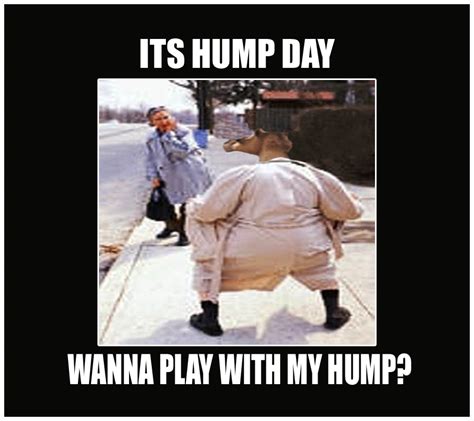 Wanna Play With My Hump Funny Hump Day Meme Happy Hump Day Meme