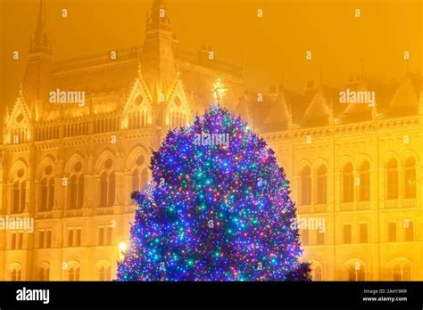 Budapest Decorated Christmas Tree Outside Hungarian Parliament Night