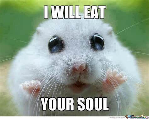 Thats Not Cute Its Creepy Funny Hamsters Cute Hamsters Cute Animals