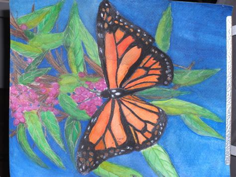 Monarch Butterfly Watercolor Pencil Painting · A Piece Of Watercolor