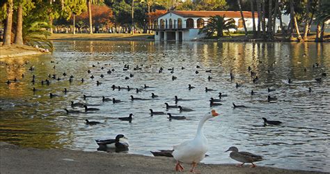 Find door suppliers in riverside, ca for energy efficient modern and custom interior & exterior doors, steel & handcrafted solid wood doors, thermal, preassembled commercial door systems, new sales and replacement things to do in riverside, ca. Lakeside Room at Fairmount Park | Parks, Recreation and ...