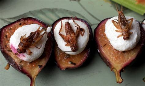 Maybe you would like to learn more about one of these? Photos: Edible bugs, five ways | Local News | host.madison.com
