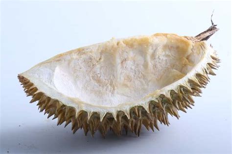 Kulit Durian si Kapasitor Listrik - Majalah CSR
