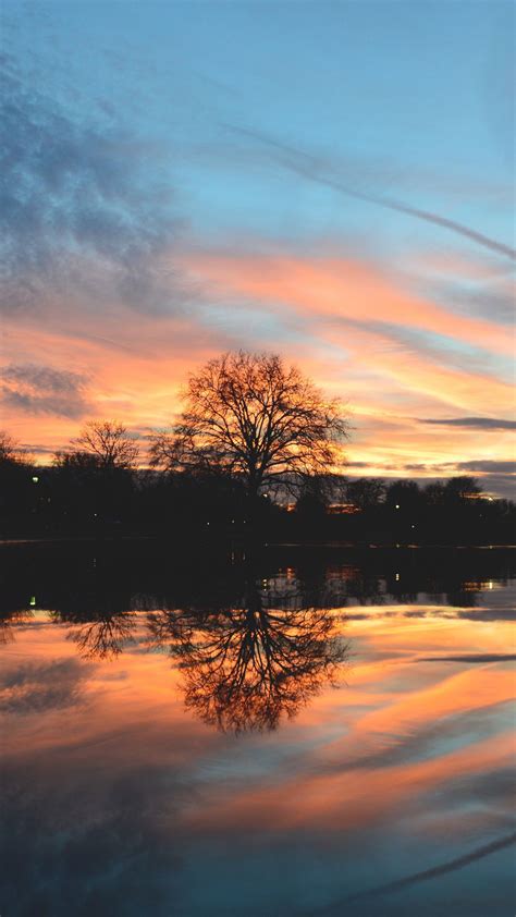 Download Wallpaper 1080x1920 Tree Lake Pond Evening Sunset Samsung