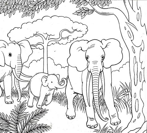 79 Realistic Baby Elephant Coloring Pages Mysmilingprincess