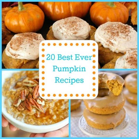 20 Best Ever Pumpkin Recipes The Organized Mom
