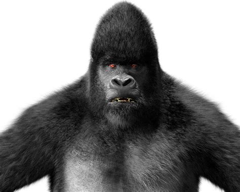 Artstation Gorilla 3d Model In Cinema 4d Hair Fur With Redshift
