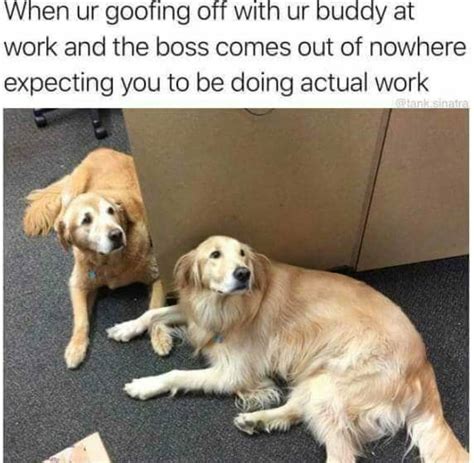 30 Funny Work Memes For Any Office Situation Best Life Images