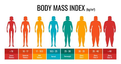 Bmi Classification Chart Measurement Woman Set Female Body Mass Index
